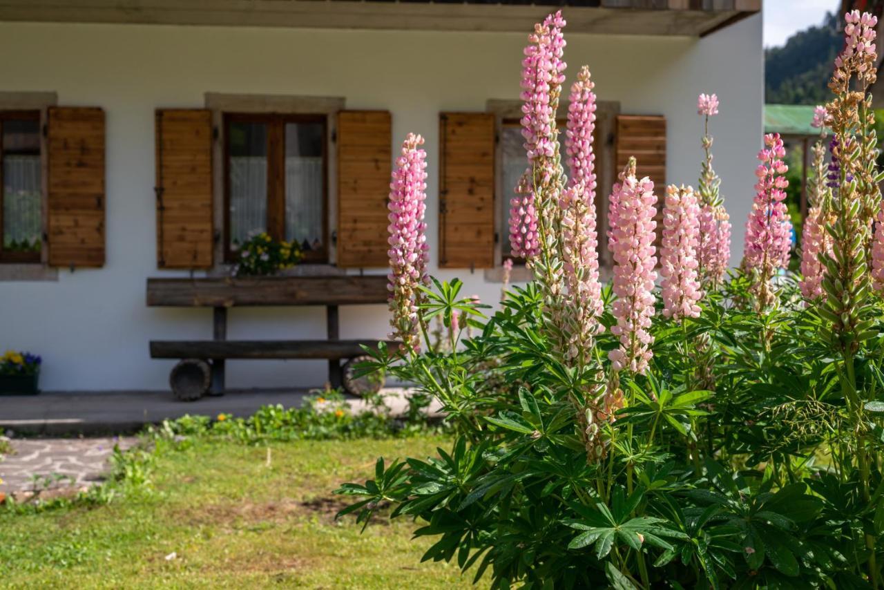 La Gerla Casa Vacanze Dolomiti Perarolo di Cadore Luaran gambar