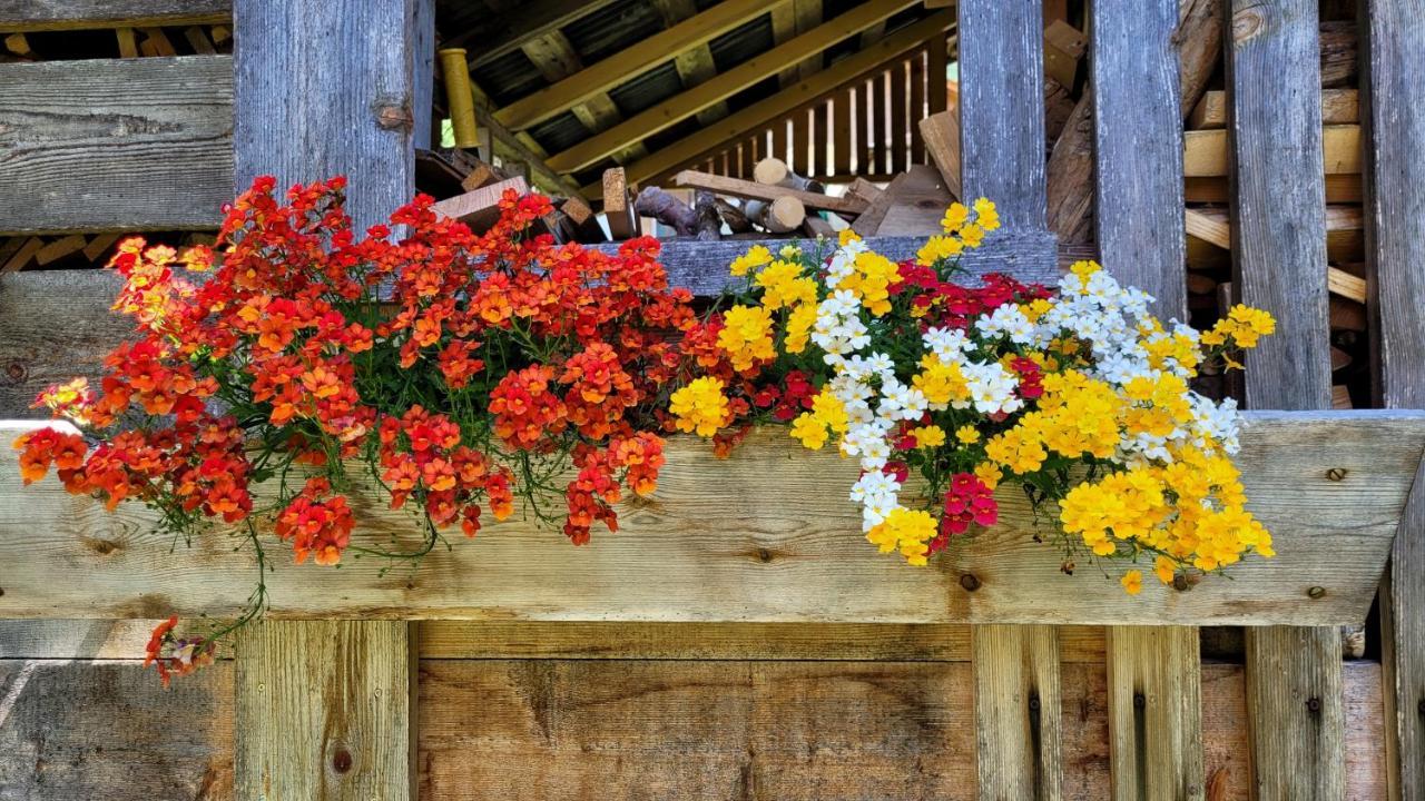 La Gerla Casa Vacanze Dolomiti Perarolo di Cadore Luaran gambar